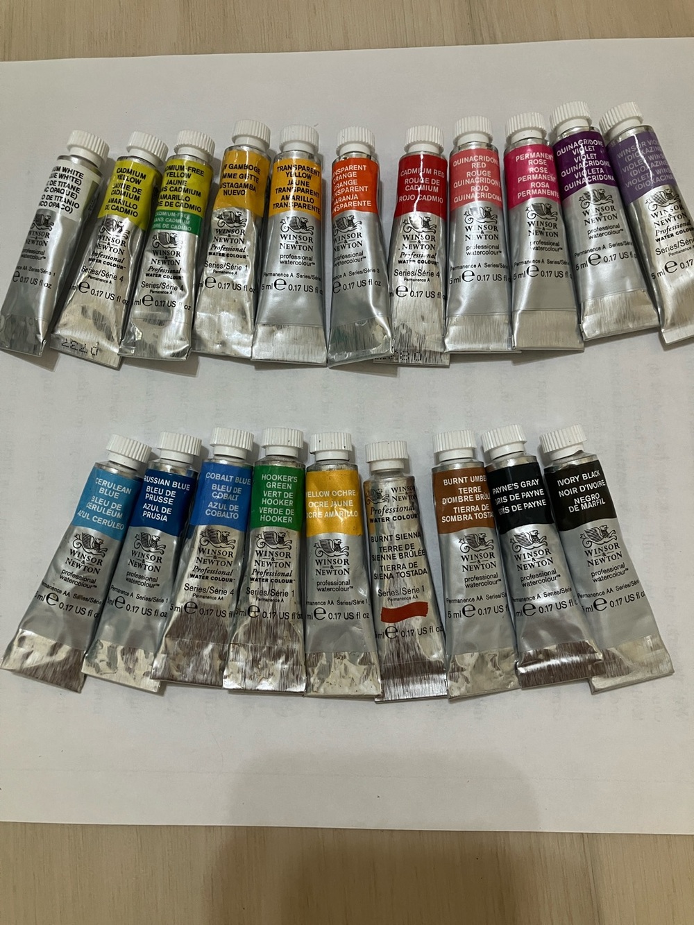 Winsor & Newton Professional Watercolor Paint Set - 20 Assorted Colors